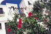 Art Bodrum Hotel 